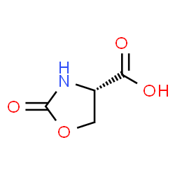 ChemSpider 2D Image | (S)-2-Oxooxazolidine-4-carboxylic acid | C4H5NO4