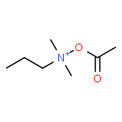 ChemSpider 2D Image | Acetoxy(dimethyl)propylammonium | C7H16NO2