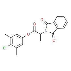 ChemSpider 2D Image | 4-Chloro-3,5-dimethylphenyl 2-(1,3-dioxo-1,3-dihydro-2H-isoindol-2-yl)propanoate | C19H16ClNO4