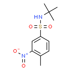 ChemSpider 2D Image | 4-Methyl-N-(2-methyl-2-propanyl)-3-nitrobenzenesulfonamide | C11H16N2O4S