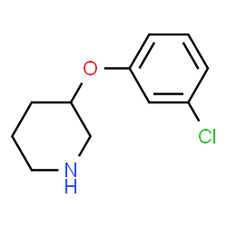 ChemSpider 2D Image | 3-(3-Chlorophenoxy)piperidine | C11H14ClNO