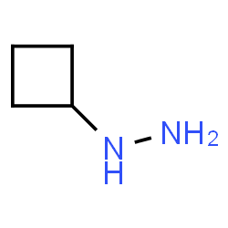 ChemSpider 2D Image | Cyclobutylhydrazine | C4H10N2