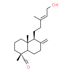 ChemSpider 2D Image | (1R,4aR,5S)-5-[(3E)-5-Hydroxy-3-methyl-3-penten-1-yl]-1,4a-dimethyl-6-methylenedecahydro-1-naphthalenecarbaldehyde | C20H32O2