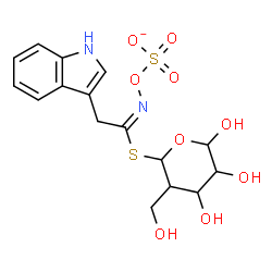 ChemSpider 2D Image | [({(E)-[2-(1H-Indol-3-yl)-1-{[4,5,6-trihydroxy-3-(hydroxymethyl)tetrahydro-2H-pyran-2-yl]sulfanyl}ethylidene]amino}oxy)sulfonyl]oxidanide | C16H19N2O9S2