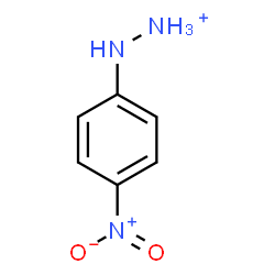 ChemSpider 2D Image | (4-Nitrophenyl)hydrazinium | C6H8N3O2
