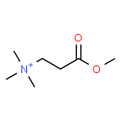 ChemSpider 2D Image | 3-Methoxy-N,N,N-trimethyl-3-oxo-1-propanaminium | C7H16NO2
