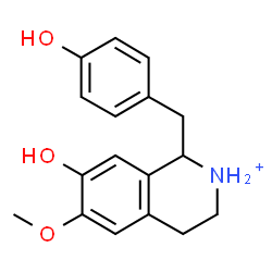 ChemSpider 2D Image | 7-Hydroxy-1-(4-hydroxybenzyl)-6-methoxy-1,2,3,4-tetrahydroisoquinolinium | C17H20NO3