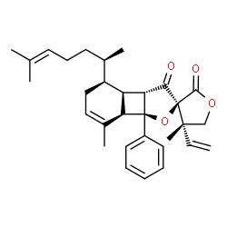 ChemSpider 2D Image | (2S,3aS,3bR,4S,4'S,7aR,7bS)-4',7-Dimethyl-4-[(2R)-6-methyl-5-hepten-2-yl]-7b-phenyl-4'-vinyl-3a,3b,4,4',5,5',7a,7b-octahydro-3H-spiro[benzo[3,4]cyclobuta[1,2-b]furan-2,3'-furan]-2',3-dione | C31H38O4