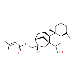 ChemSpider 2D Image | (5beta,7beta,8alpha,9beta,10alpha,13alpha,16beta)-7,16-Dihydroxykauran-17-yl 3-methyl-2-butenoate | C25H40O4