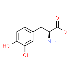 ChemSpider 2D Image | (2S)-2-Amino-3-(3,4-dihydroxyphenyl)propanoate | C9H10NO4