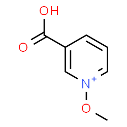 ChemSpider 2D Image | 3-Carboxy-1-methoxypyridinium | C7H8NO3
