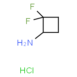 ChemSpider 2D Image | 2,2-Difluorocyclobutanamine hydrochloride (1:1) | C4H8ClF2N