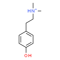 ChemSpider 2D Image | 2-(4-Hydroxyphenyl)-N,N-dimethylethanaminium | C10H16NO