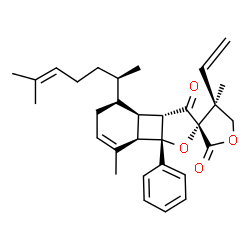 ChemSpider 2D Image | (2S,3aS,3bR,4S,4'S,7aR,7bR)-4',7-Dimethyl-4-[(2R)-6-methyl-5-hepten-2-yl]-7b-phenyl-4'-vinyl-3a,3b,4,4',5,5',7a,7b-octahydro-3H-spiro[benzo[3,4]cyclobuta[1,2-b]furan-2,3'-furan]-2',3-dione | C31H38O4