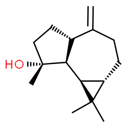 ChemSpider 2D Image | (1aS,4aS,7R,7aS,7bR)-1,1,7-Trimethyl-4-methylenedecahydro-1H-cyclopropa[e]azulen-7-ol | C15H24O