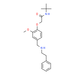 ChemSpider 2D Image | N-tert-butyl-2-[2-methoxy-4-[(2-phenylethylamino)methyl]phenoxy]acetamide | C22H30N2O3