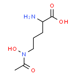 ChemSpider 2D Image | N~5~-Acetyl-N~5~-hydroxyornithine | C7H14N2O4