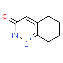 ChemSpider 2D Image | 3-Oxo-2,3,5,6,7,8-hexahydrocinnolin-1-ium | C8H11N2O