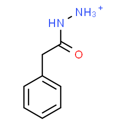 ChemSpider 2D Image | (Phenylacetyl)hydrazinium | C8H11N2O