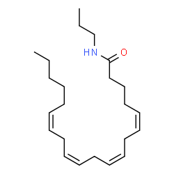 ChemSpider 2D Image | (5Z,8Z,11Z,14Z)-N-Propyl-5,8,11,14-icosatetraenamide | C23H39NO