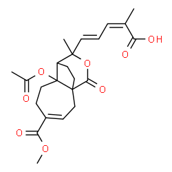 ChemSpider 2D Image | (2Z,4E)-5-[7-Acetoxy-4-(methoxycarbonyl)-9-methyl-11-oxo-10-oxatricyclo[6.3.2.0~1,7~]tridec-3-en-9-yl]-2-methyl-2,4-pentadienoic acid | C23H28O8