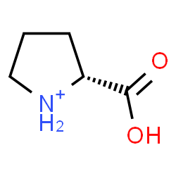 ChemSpider 2D Image | (2R)-2-Carboxypyrrolidinium | C5H10NO2