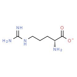 ChemSpider 2D Image | (2R)-2-Amino-5-carbamimidamidopentanoate | C6H13N4O2