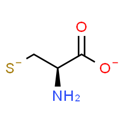 ChemSpider 2D Image | (2R)-2-Amino-3-sulfidopropanoate | C3H5NO2S
