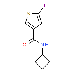 ChemSpider 2D Image | N-Cyclobutyl-5-iodo-3-thiophenecarboxamide | C9H10INOS
