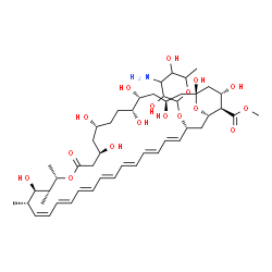 ChemSpider 2D Image | Methyl (1R,3S,5R,6R,9R,11R,15S,16R,17R,18S,19Z,21E,23E,25E,27E,29E,31E,33R,35S,36R,37S)-33-[(3-amino-3,6-dideoxyhexopyranosyl)oxy]-1,3,5,6,9,11,17,37-octahydroxy-15,16,18-trimethyl-13-oxo-14,39-dioxab
icyclo[33.3.1]nonatriaconta-19,21,23,25,27,29,31-heptaene-36-carboxylate | C48H75NO17