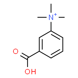 ChemSpider 2D Image | 3-Carboxy-N,N,N-trimethylanilinium | C10H14NO2