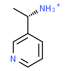 ChemSpider 2D Image | (1S)-1-(3-Pyridinyl)ethanaminium | C7H11N2