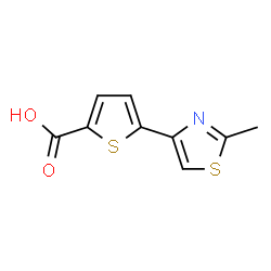 ChemSpider 2D Image | 5-(2-Methyl-1,3-thiazol-4-yl)-2-thiophenecarboxylic acid | C9H7NO2S2