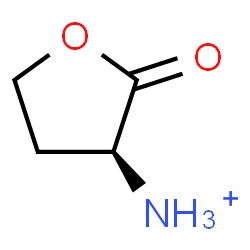 ChemSpider 2D Image | (3S)-2-Oxotetrahydro-3-furanaminium | C4H8NO2