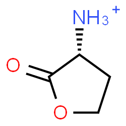 ChemSpider 2D Image | (3R)-2-Oxotetrahydro-3-furanaminium | C4H8NO2