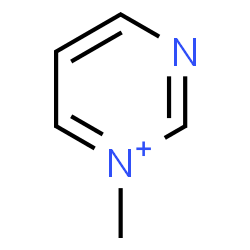 ChemSpider 2D Image | 1-Methylpyrimidin-1-ium | C5H7N2