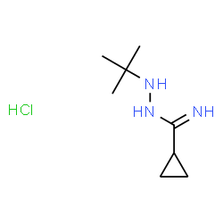 ChemSpider 2D Image | N'-(2-Methyl-2-propanyl)cyclopropanecarboximidohydrazide hydrochloride (1:1) | C8H18ClN3
