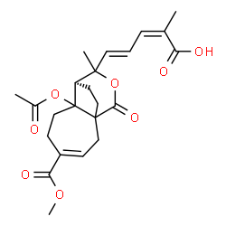 ChemSpider 2D Image | (2Z,4E)-5-[(8R)-7-Acetoxy-4-(methoxycarbonyl)-9-methyl-11-oxo-10-oxatricyclo[6.3.2.0~1,7~]tridec-3-en-9-yl]-2-methyl-2,4-pentadienoic acid | C23H28O8