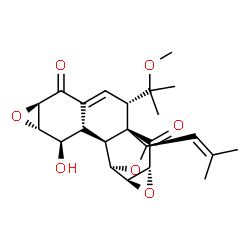 ChemSpider 2D Image | (1S,2S,6R,8S,9R,10S,11S,12R,13S,15R,17R)-9-Hydroxy-2-(2-methoxy-2-propanyl)-17-(2-methyl-1-propen-1-yl)-7,14,18-trioxahexacyclo[10.4.2.0~1,11~.0~4,10~.0~6,8~.0~13,15~]octadec-3-ene-5,16-dione | C23H28O7