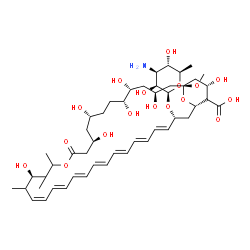 ChemSpider 2D Image | (1R,3S,5R,6R,9R,11R,17R,19Z,21E,23E,25E,27E,29E,31E,33R,35S,37S)-33-[(3-Amino-3,6-dideoxy-beta-D-mannopyranosyl)oxy]-3,5,6,9,11,17,37-heptahydroxy-1-methoxy-15,16,18-trimethyl-13-oxo-14,39-dioxabicycl
o[33.3.1]nonatriaconta-19,21,23,25,27,29,31-heptaene-36-carboxylic acid | C48H75NO17