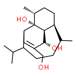 ChemSpider 2D Image | (1S,2R,5S,10S,13S,14S)-12-(Hydroxymethyl)-9-isopropyl-2,6-dimethyltricyclo[8.4.0.0~5,14~]tetradec-11-ene-1,13-diol | C20H34O3