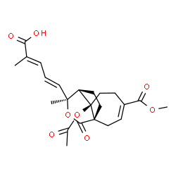 ChemSpider 2D Image | (2E,4E)-5-[(1S,7R,8R,9S)-7-Acetoxy-4-(methoxycarbonyl)-9-methyl-11-oxo-10-oxatricyclo[6.3.2.0~1,7~]tridec-3-en-9-yl]-2-methyl-2,4-pentadienoic acid | C23H28O8