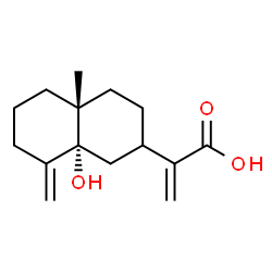 ChemSpider 2D Image | 2-[(4aR,8aR)-8a-Hydroxy-4a-methyl-8-methylenedecahydro-2-naphthalenyl]acrylic acid | C15H22O3