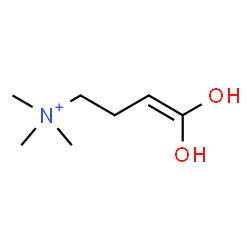 ChemSpider 2D Image | 4,4-Dihydroxy-N,N,N-trimethyl-3-buten-1-aminium | C7H16NO2