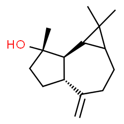 ChemSpider 2D Image | (4aR,7S,7aR)-1,1,7-Trimethyl-4-methylenedecahydro-1H-cyclopropa[e]azulen-7-ol | C15H24O