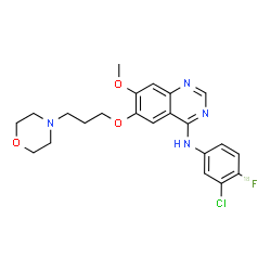 ChemSpider 2D Image | N-[3-Chloro-4-(~18~F)fluorophenyl]-7-methoxy-6-[3-(4-morpholinyl)propoxy]-4-quinazolinamine | C22H24Cl18FN4O3